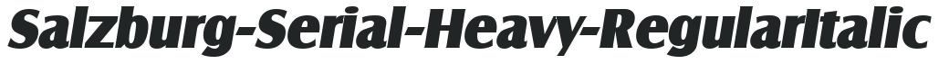 Salzburg-Serial-Heavy-RegularItalic preview