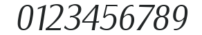Salzburg-Serial-Light-RegularItalic numbers preview