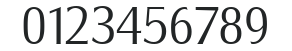Salzburg-Serial-Light-Regular numbers preview