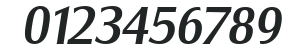 Salzburg-Serial-Medium-RegularItalic numbers preview