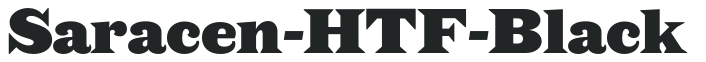 Saracen-HTF-Black preview