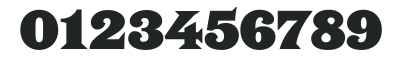 Saracen-HTF-Black numbers preview