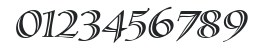 SassafrasLx-Italic numbers preview