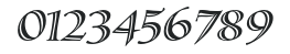 SassafrasStd-Italic numbers preview