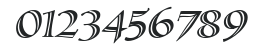 SassafrasSx-Italic numbers preview
