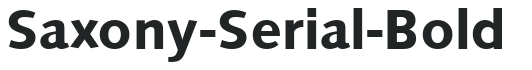 Saxony-Serial-Bold preview