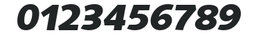 Saxony-Serial-ExtraBold-RegularItalic numbers preview