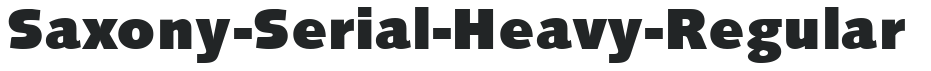 Saxony-Serial-Heavy-Regular preview