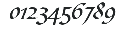 Script-B730-Regular numbers preview