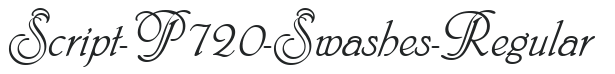 Script-P720-Swashes-Regular letters preview