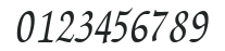 ScriptSongBold15 Bold ttcon numbers preview
