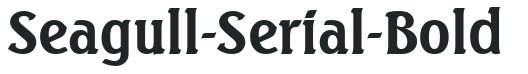 Seagull-Serial-Bold preview