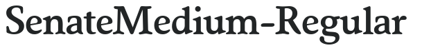 SenateMedium-Regular preview