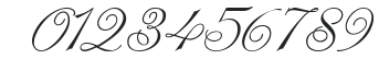 Shampanskoe script numbers preview