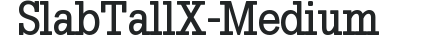 SlabTallX-Medium preview