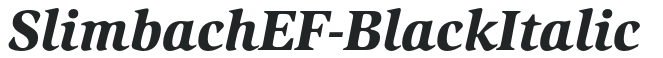 SlimbachEF-BlackItalic preview