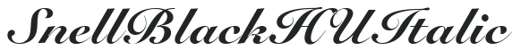 Snell Black HU Italic preview