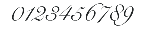 SnellRoundhand-Script numbers preview