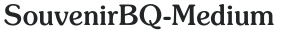 SouvenirBQ-Medium preview