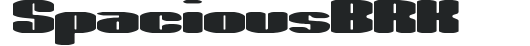 Spacious BRK preview