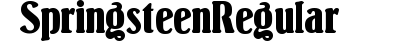 Springsteen Regular preview