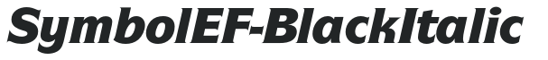 SymbolEF-BlackItalic preview