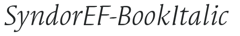 SyndorEF-BookItalic preview
