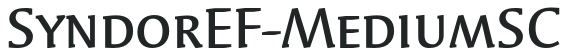 SyndorEF-MediumSC preview