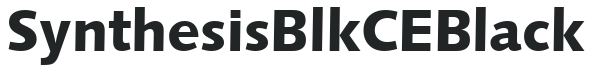 Synthesis Blk CE Black preview