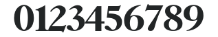 TFCaslonTen-Extrabold numbers preview