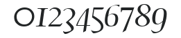 TGScript numbers preview
