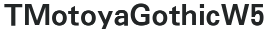 TMotoyaGothic W5 preview