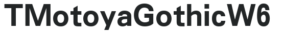 TMotoyaGothic W6 preview