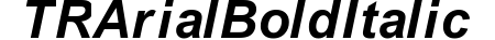 TR Arial  Bold Italic preview