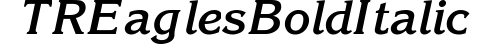 TR Eagles  Bold Italic preview