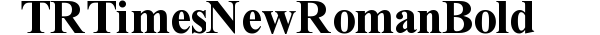 TR Times New Roman  Bold preview