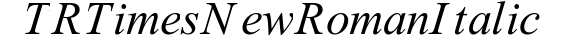 TR Times New Roman  Italic preview