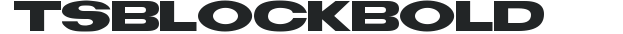 TS Block Bold preview