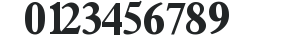 Terminus Black Condensed SSi Bold Condensed preview