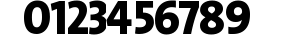 TheSans ExtraBold Caps preview