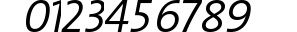 TheSans SemiLight Caps Italic preview
