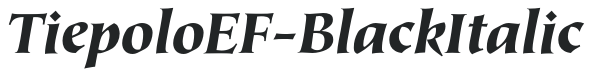 TiepoloEF-BlackItalic preview