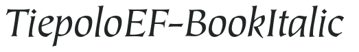 TiepoloEF-BookItalic preview