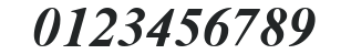 Time Roman Bold Italic numbers preview