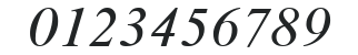 Time Roman Italic numbers preview