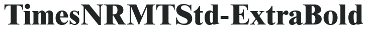 TimesNRMTStd-ExtraBold preview