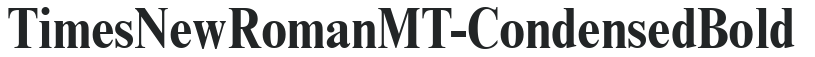 TimesNewRomanMT-Condensed Bold preview