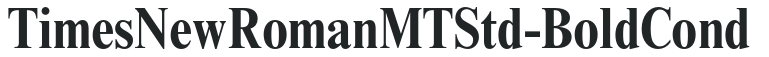 TimesNewRomanMTStd-BoldCond preview