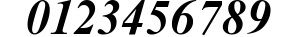 Times New Roman Mon Bold Italic preview