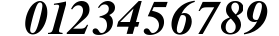 Times Profi Bold Italic preview